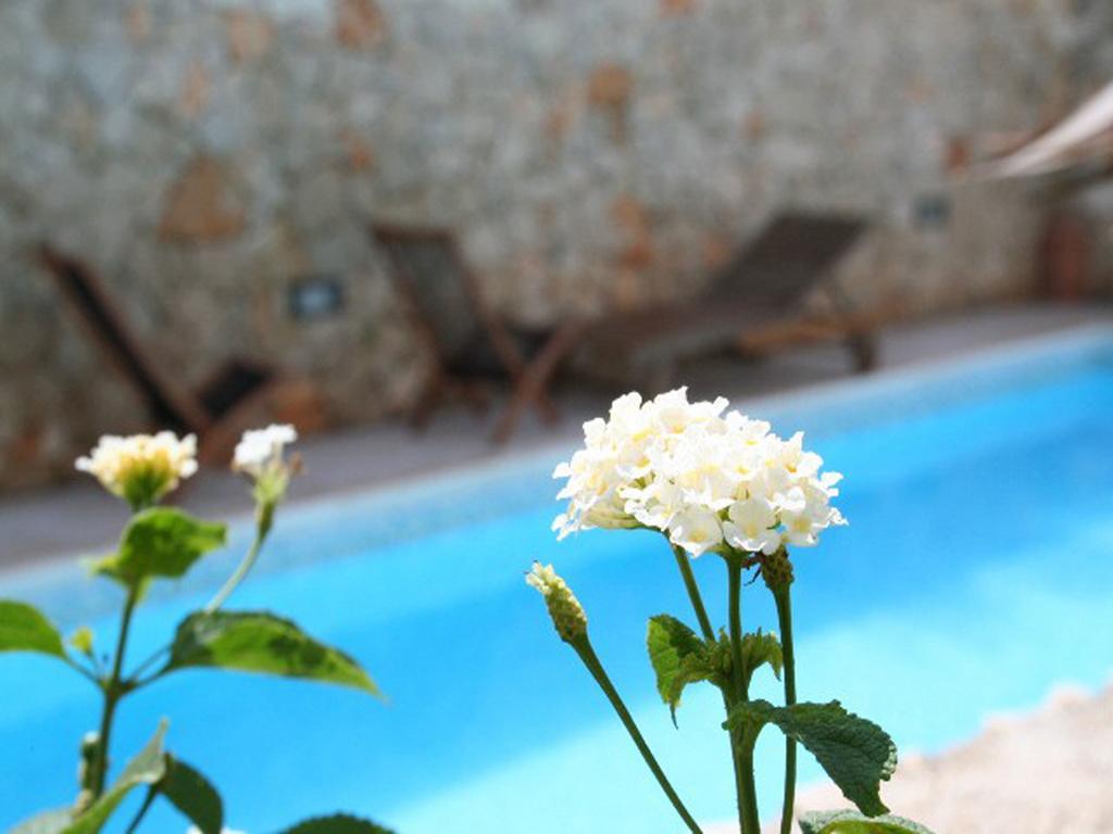 Residence Quattrocolonne Santa Maria al Bagno Room photo